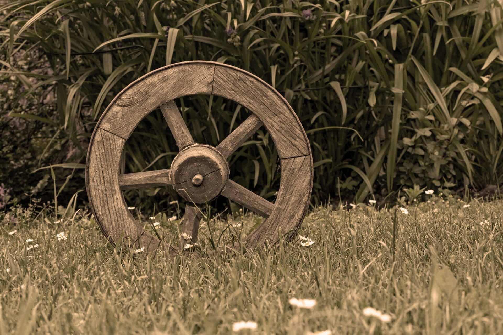 wooden wagon wheel in grass with dandelions in front of vegetation