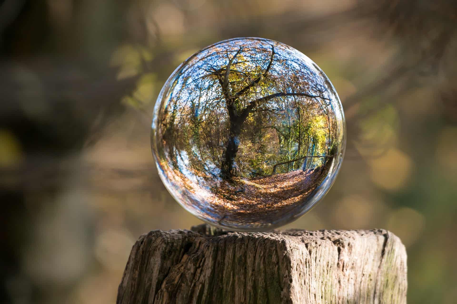 Crystal ball on a fence post in which we see a tree